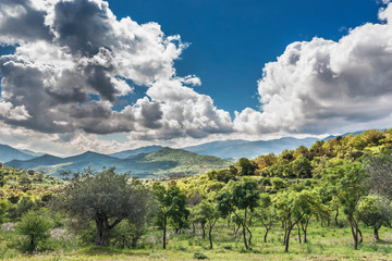 Fototapeta premium Naturpark Parco delle Madonie
