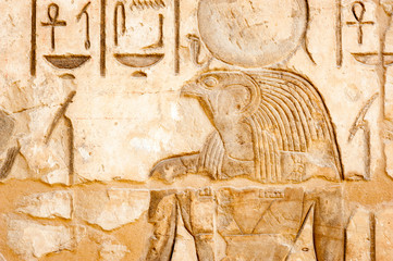 Portrait in hieroglyph of ancient Egyptian falcon god Horus in Edfu, Egypt - obrazy, fototapety, plakaty