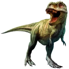 Deurstickers Tyrannosaurus rex dinosaur from the Cretaceous era 3D illustration © warpaintcobra