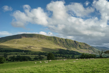 Naklejka premium Countryside of the Lake District