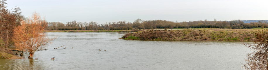La Meuse à l'horizon