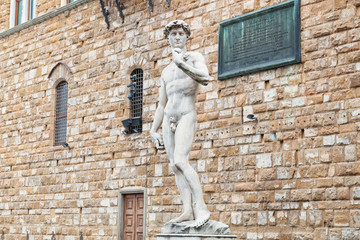Naklejka premium Statua David di Michelangelo piazza della signoria Firenze