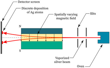 Scientific experiment by stern gerlach: electron having opposite spins 