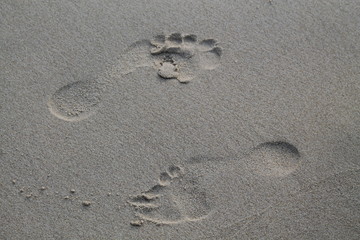 Footsteps in the sand on a wet beach