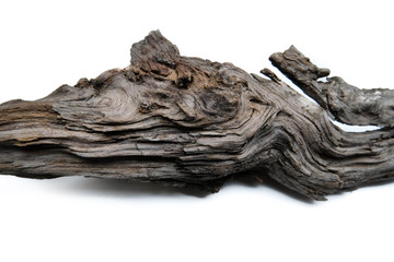 Driftwood/aged wood over white background. Isolated piece of driftwood top view. Driftwood stick closeup, wood texture for aquarium. - obrazy, fototapety, plakaty
