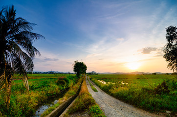 beautiful landscape view in traditional paddy field over sunrise background. Soft focus due to long...