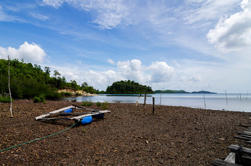 Beautiful rural scenery from wooden jetty over blue sky background at sunny day