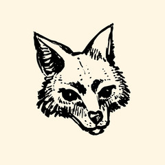 Fox face. Fox muzzle. Ink hand drawn illustration. Animal art. Isolated from background.