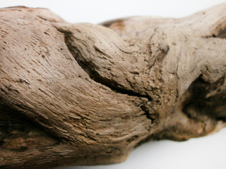 root of a tree, driftwood