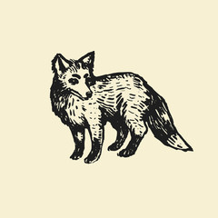 Fox Isolated from background. Fox with fluffy tail. Ink hand drawn illustration. Animal art.