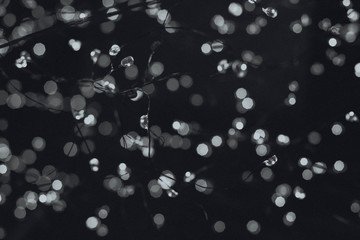 Black background with white light bokeh glitter glowing backdrop