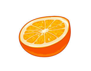 Fresh orange. Cartoon vector icon isolated on white