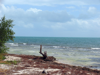 Gulf of Mexico, Florida Keys, Old Flagler Railroad, Bridges, Florida Keys, Florida, USA