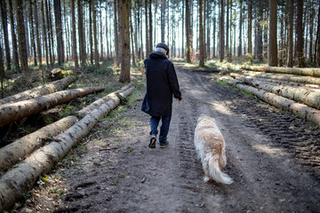 Alter Mann Senior spaziert allein mit Hund im Wald Social Distancing wegen Corona