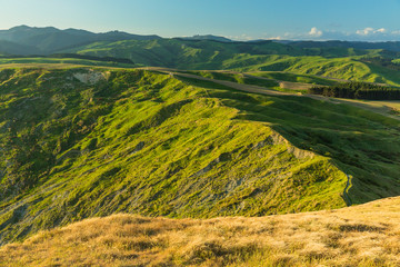 Naklejka premium ニュージーランド ワイララパのキャッスル・ポイントのキャッスル・ロックからの景色 