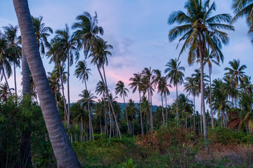 Obraz na płótnie Canvas Sonnenuntergang in Thailand