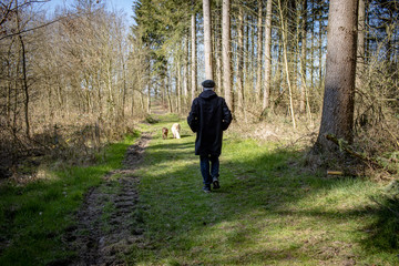 Alter Mann Senior spaziert allein mit Hunden im Wald Social Distancing wegen Corona