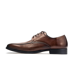 brown leather shoes isolated on white background