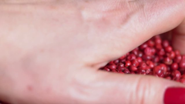 Food spices pink peppercorns red pepper Himalayan pepper berries. concept of fresh and dietary spices for cooking schools vegans and dietary products