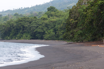 A beach of black sand in Tangkoko