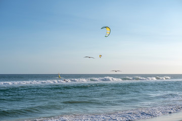 Kiteboarders and birds against the blue sky on the beach in Rio de Janeiro, Brasil. Ocean and sky.