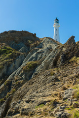 Fototapeta na wymiar ニュージーランド　ワイララパのキャッスルポイントの灯台