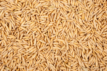 Background of oat grains. Healthy eating