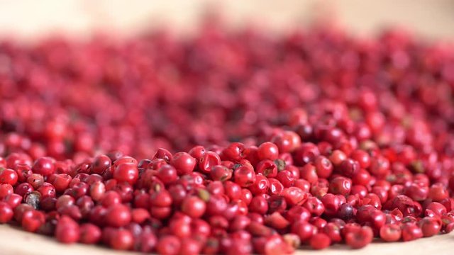 Food spices pink peppercorns red pepper Himalayan pepper berries. concept of fresh and dietary spices for cooking schools vegans and dietary products