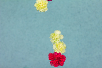 Color carnation bunch float on the water.