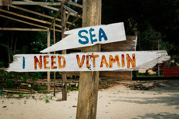 pieces of wood with hand painted beach activities attached to tree stump in Pangkor Island, Perak...