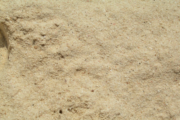 Caribbean beach sand close-up
