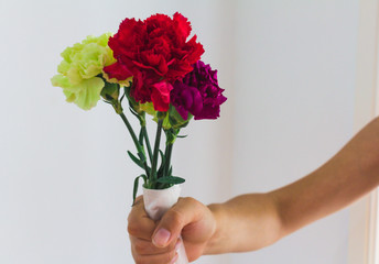 Hand holding a bunch of color carnation