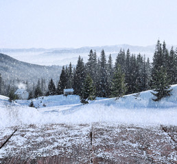 Wooden surface and beautiful view of winter landscape