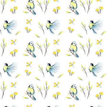 watercolor seamless pattern with spring flowers and titmouse
