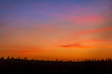 Dusking colorful sky with pink clouds and half moon