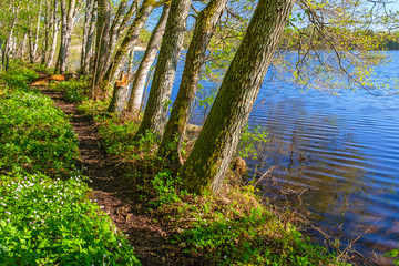 Hiking path along the shore of a lake