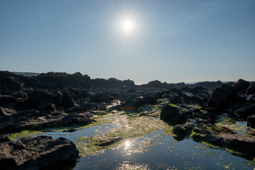 Fototapeta na wymiar Sun reflecting in a water pool from the sea 