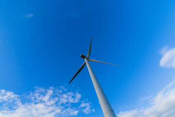ニュージーランド　テアピティウィンドファームの風力発電　Te Apiti Wind Farm