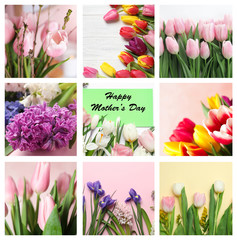 Collage with photos of beautiful flowers and text Happy Mother's Day