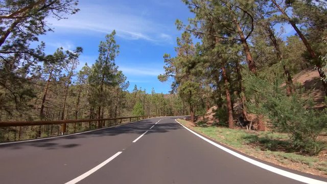 POV Driving on street TF21, Tenerife (Canary Islands) to the city of Vilaflor
