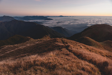 Scenic view of the sea of clouds at the summit of  Mount Pulag National Park, Benguet, Philippines