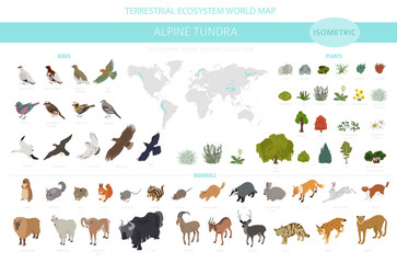 Apine tundra biome, natural region isometric infographic. Terrestrial ecosystem world map. Animals, birds and plants design set