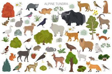 Apine tundra biome, natural region infographic. Terrestrial ecosystem world map. Animals, birds and plants design set