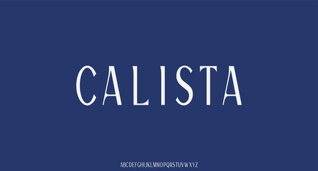 LUXURY ELEGANT FONT VECTOR ALPHABET SERIF TYPE