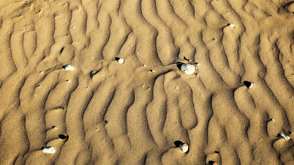 closeup of sand