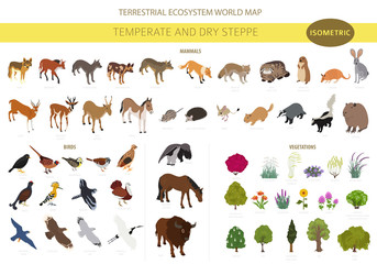 Temperate and dry steppe biome, natural region isometric infographic. Prarie, steppe, grassland, pampas. Terrestrial ecosystem world map. Animals, birds and vegetations ecosystem design set