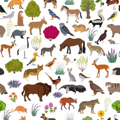 Temperate and dry steppe biome, natural region seamless pattern. Prarie, steppe, grassland, pampas. Terrestrial ecosystem world map. Animals, birds and vegetations ecosystem design set