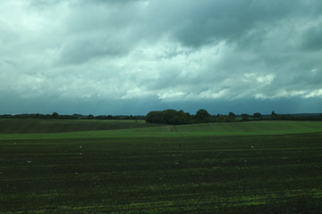 Fototapeta premium field with dark sky