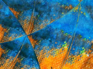 Naklejka premium Abstract background for create colorful trendy graphic and digital production, decorate design flyer, poster, leaflet, big size banner and advertising billboard, bright art texture. Geometric pattern.