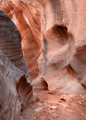 Willis Creek Slot Canyon in the Grand Staircase, Escalante..  A hiker friendly slot canyon in Utah formed from Navajo sandstone.
